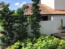 Shamrock Park (D10), Detached #471418501